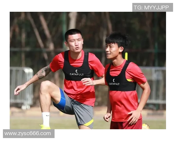 十二位足球巨星的拼图之旅揭示他们背后的故事与荣耀